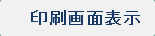 印刷画面表示